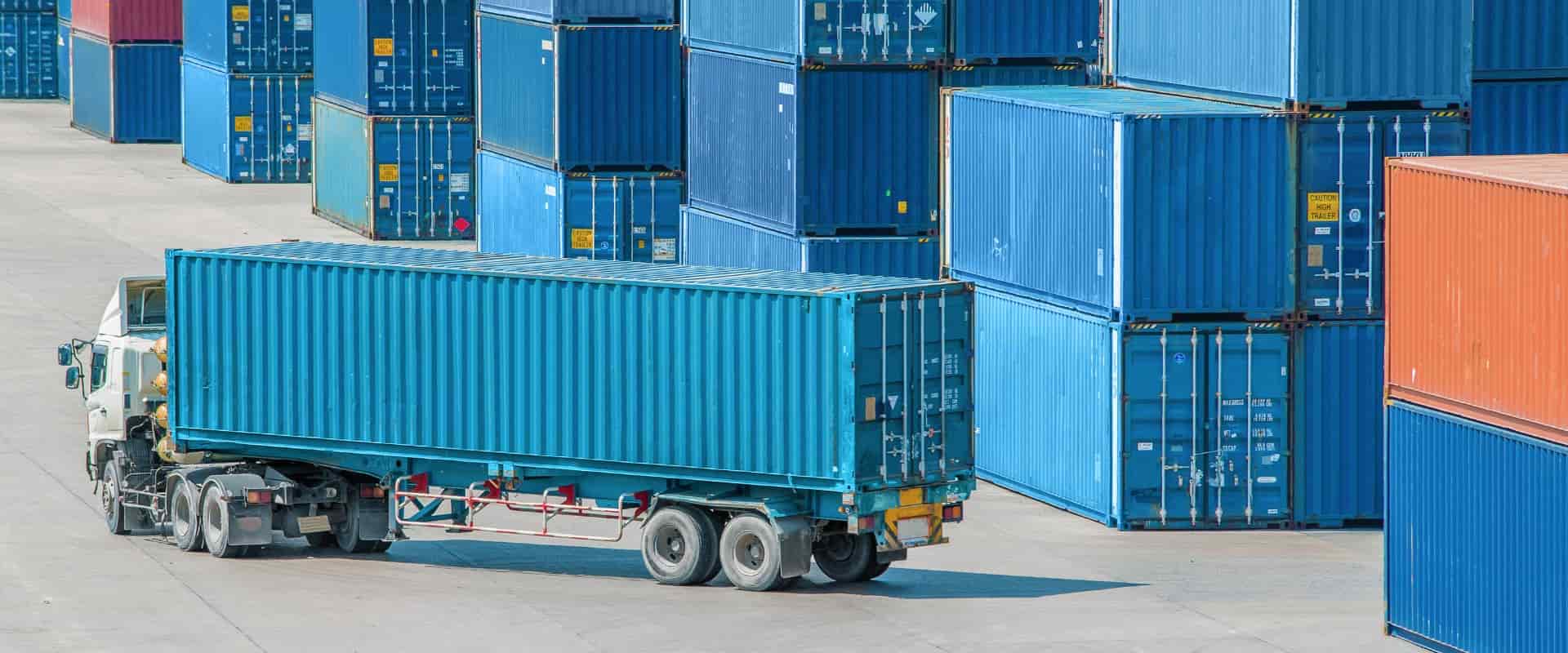 Contribution to the Economy